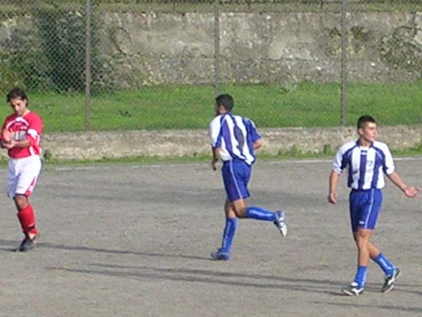 DSCN4550