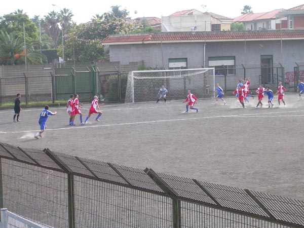 DSCN4239