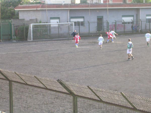 DSCN4411